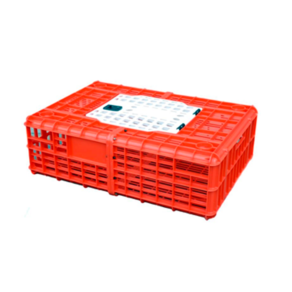 JABA PARA TRANSPORTE DE POLLO VIVO (PEAD)