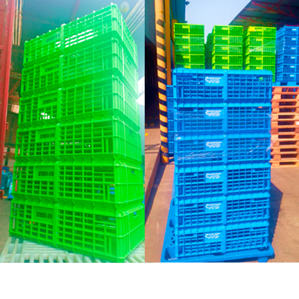 JABA PARA TRANSPORTE DE POLLO VIVO (PEAD) - Image 2