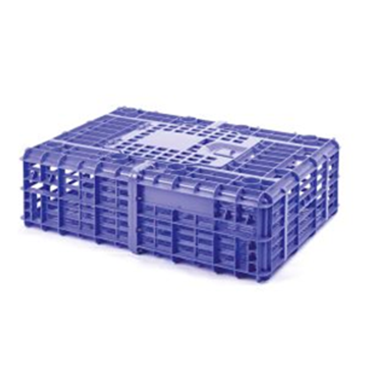 JABA DE POLLO VIVO LIVIANO