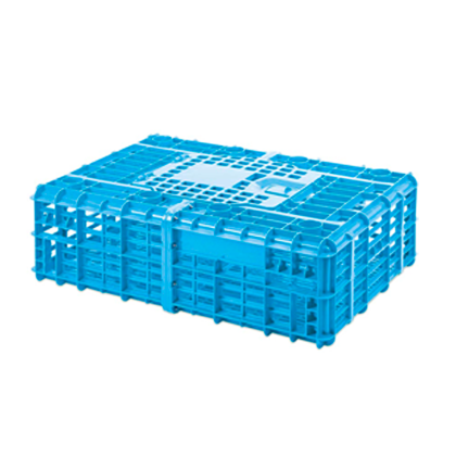 JABA DE POLLO VIVO MOD. GB